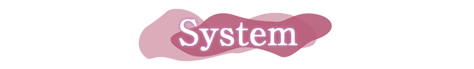 システム