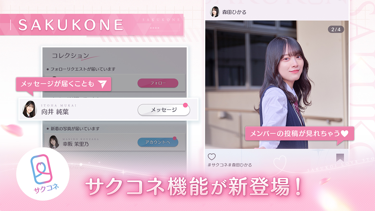 サクコイ限定コイハルパスケース向井純葉